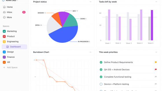 A screenshot of a ClickUp dashboard showing various widgets, including project status pie chart, a tasks by week bar graph, a burndown chart, and a list of priorities for the week